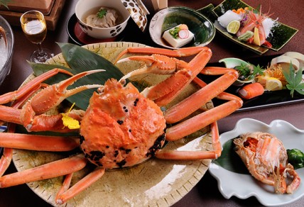 甲羅にカニビルが付着したズワイガニ(越前ガニ) 甲羅にカニビルが付着したズワイガニ(越前ガニ)