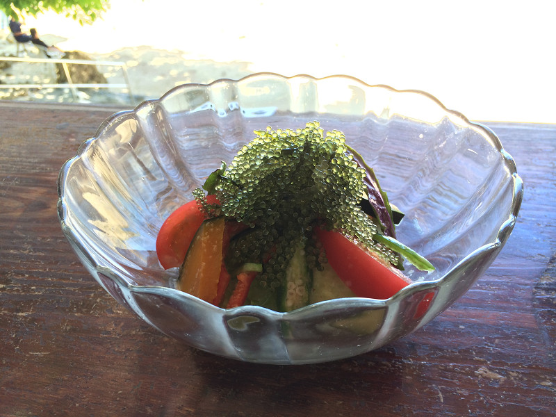 浜辺の茶屋のサラダに乗った海ぶどう