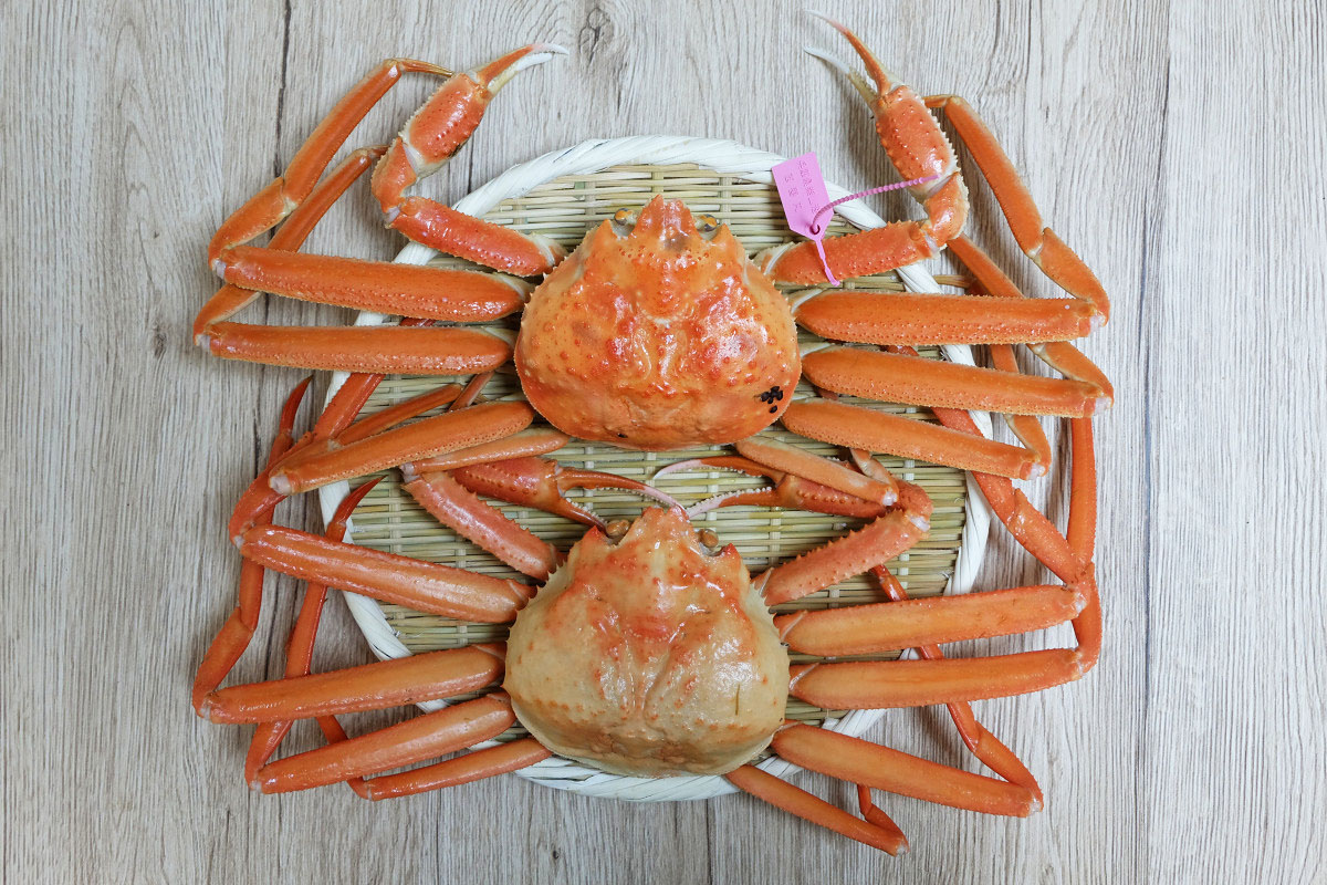 本ズワイガニ(上)と紅ズワイガニ(下)の表側