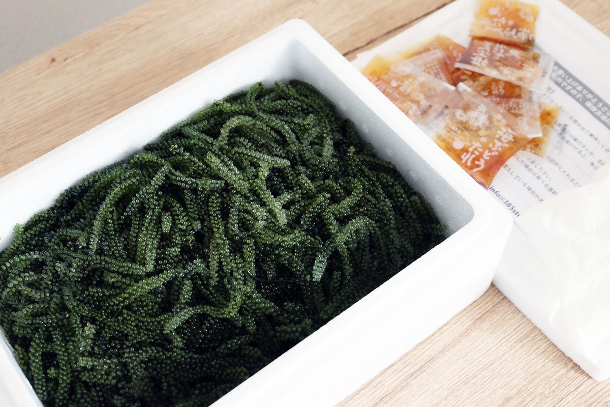 海ぶどうの保存について