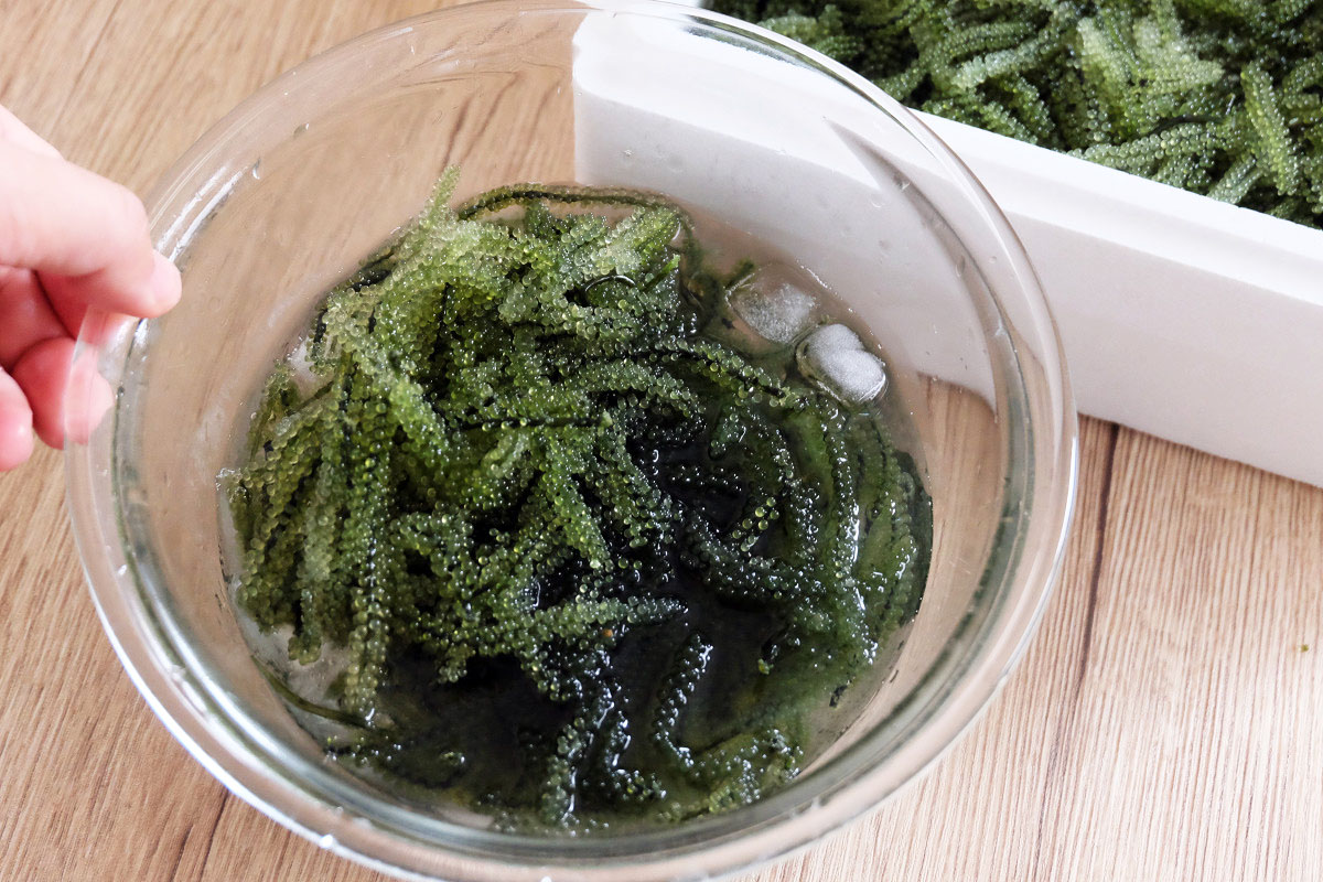 冷水ですすいで美味しい海ぶどうに