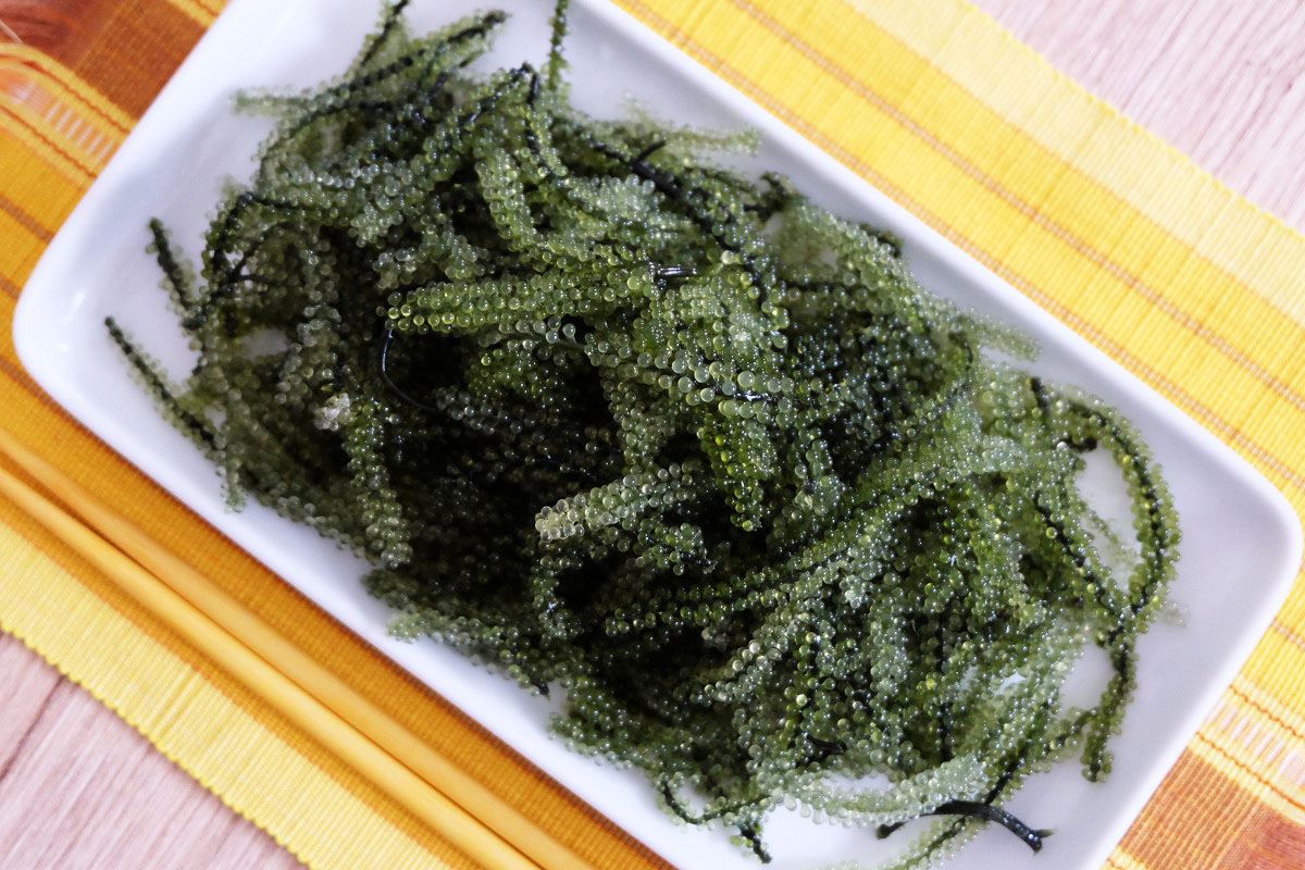 海ぶどうの食べ方と保存方法を解説