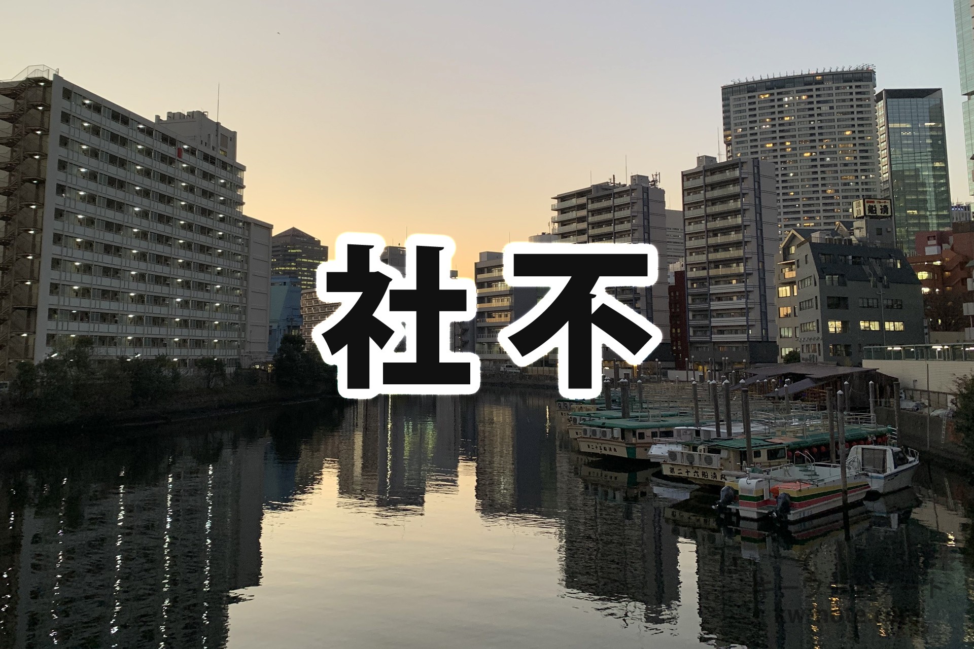 社不