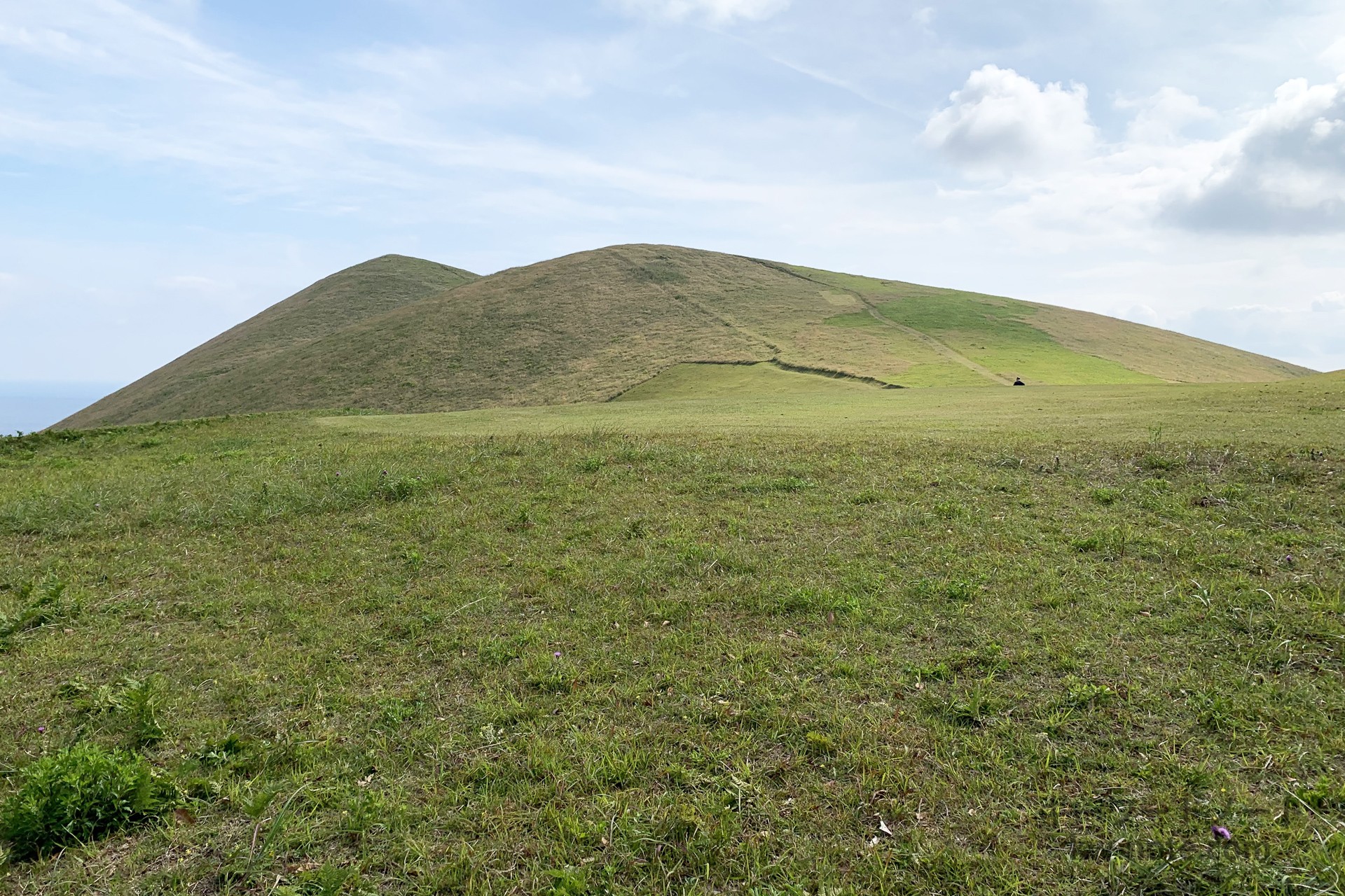 「大草原」とは？ネット用語としての意味や使い方を解説
