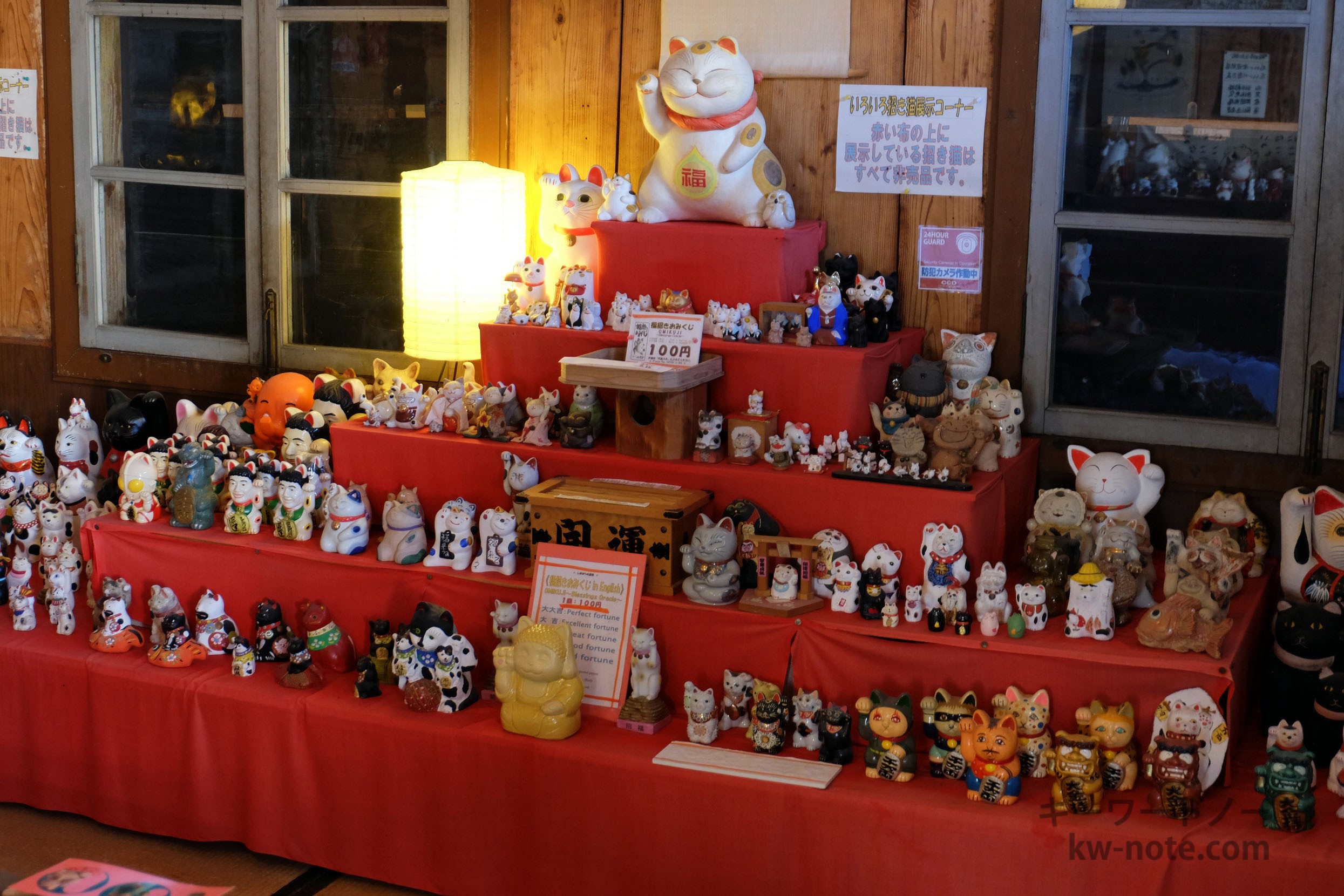 展示台にいる招き猫達