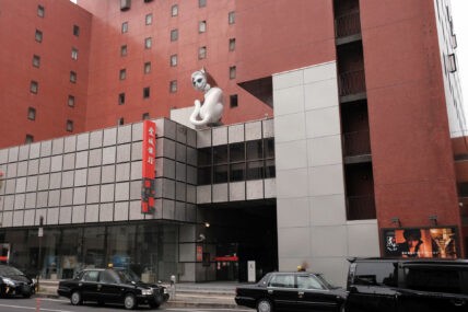 SHIP'S CAT(シップスキャット)