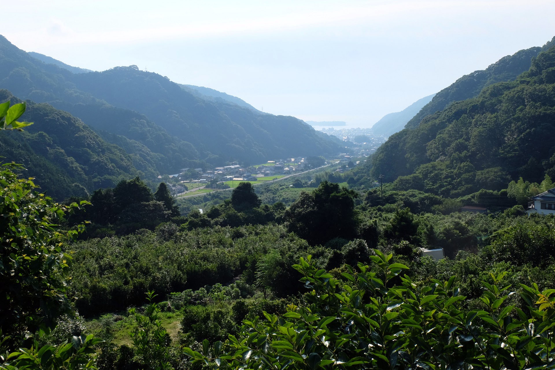 高台からみた戸田の街並み