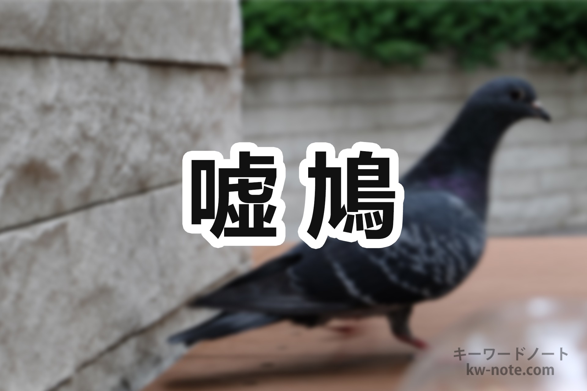 「嘘鳩」とは?意味や語源、使い方を解説